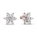 Pendientes Pandora Rose Herbario Brillante 282407C01