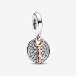 Charm Colgante Doble Llave a la Felicidad en Dos Tonos PANDORA 783236C01