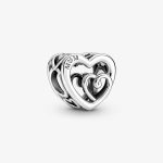 Charm Pandora Corazones Infinitos Entrelazados 790800C00